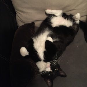 Meet your Posher, Emily